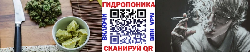 цена   Кингисепп  Еда ТГК конопля 