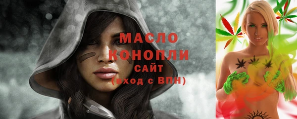 амф Бородино