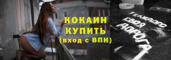 амф Бородино