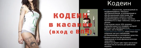амф Бородино