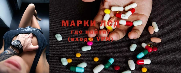 спайс Богданович