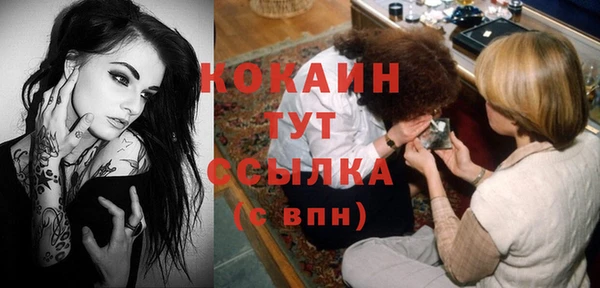 амф Бородино