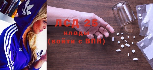 амф Бородино