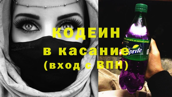 амф Бородино