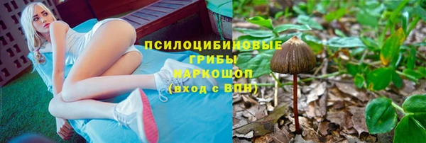 крисы Заводоуковск